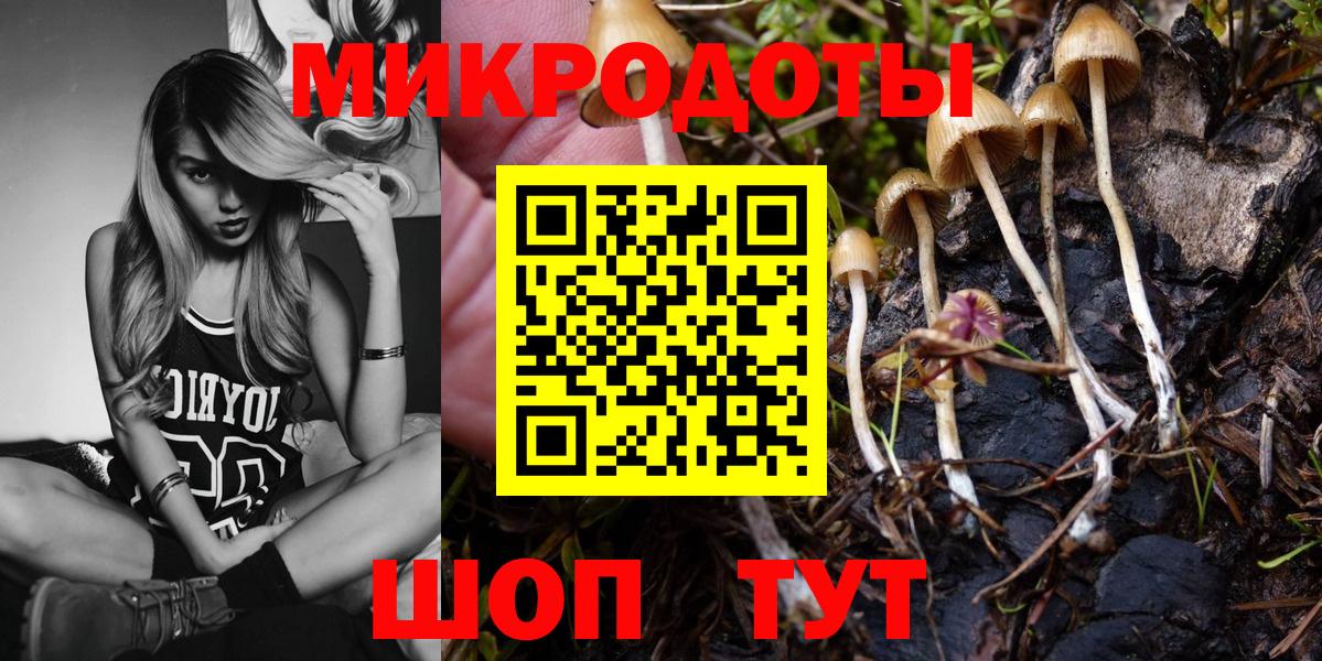 Псилоцибиновые грибы прущие грибы  где купить   Псилоцибиновые грибы MAGIC MUSHROOMS  Прокопьевск  Вход с VPN 